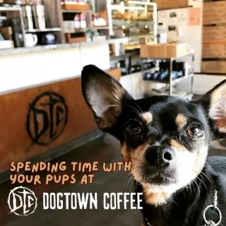 Spending Time With Pups At Dogtown Coffee