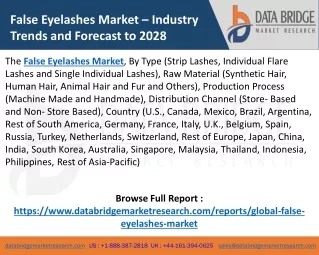 False Eyelashes Market