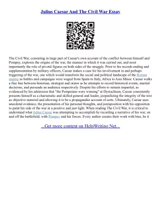 Essays On The Civil War