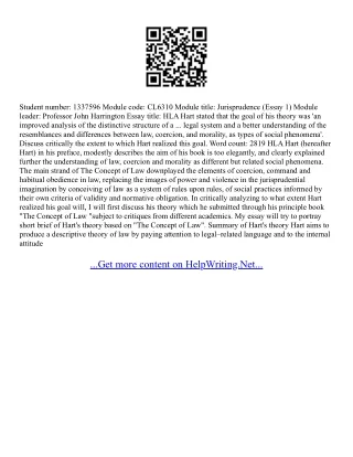 Jurisprudence Essay