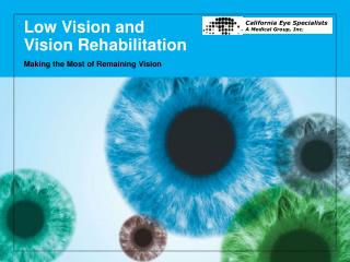 Low Vision and Vision Rehabilitation