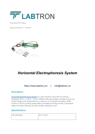 Horizontal Electrophoresis System
