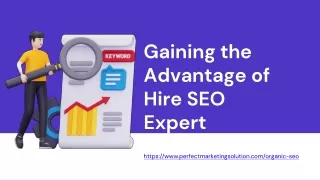 Gaining the Advantage of Hire SEO Expert