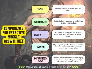 Components for Effective Muscle Growth Diet