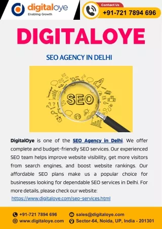 SEO Agency in Delhi