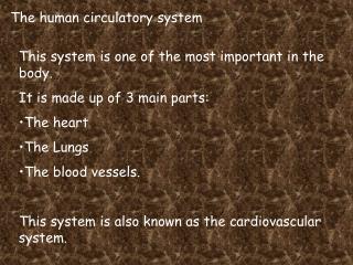 The human circulatory system