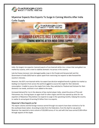 3-Myanmar Expects Rice Exports To Surge In Coming Months After India Curbs Supply