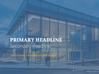PRIMARY HEADLINE Secondary Headline
