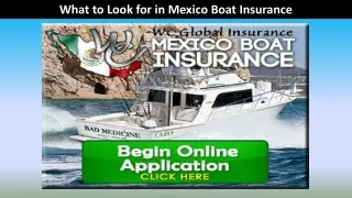 What to Look for in Mexico Boat Insurance