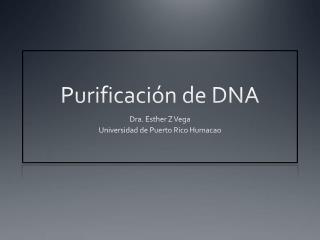 Purificación de DNA
