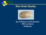 Rice Grain Quality