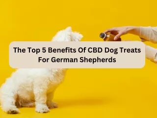 The Top 5 Benefits Of CBD Dog Treats For German Shepherds