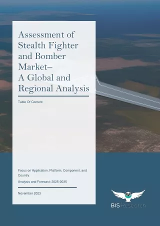 Assessment of Stealth Fighter and Bomber Market