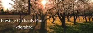 Prestige Orchards Plots Hyderabad E Brochure PDf