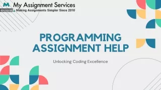 Programming Assignment Help Unlocking Coding Excellence