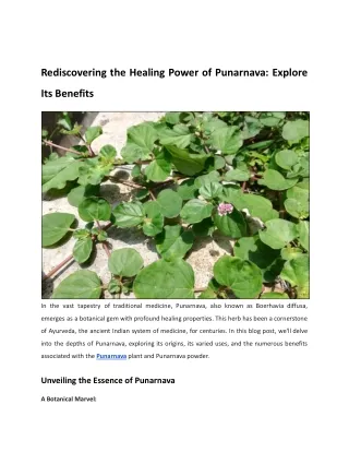 Rediscovering the Healing Power of Punarnava: Explore Its Benefits