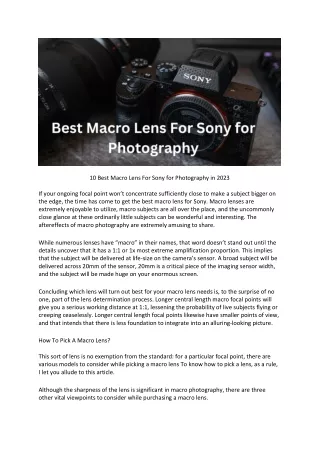 10 Best Macro Lens For Sony for Photography in 2023