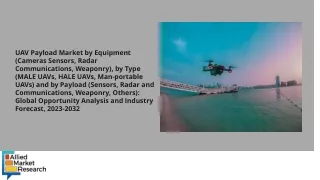 UAV Payload Market PDF