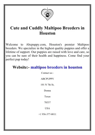 Cute and Cuddly Maltipoo Breeders in Houston