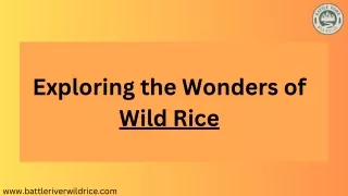 Wild rice