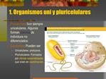 TEMA 9 : ORGANISMOS UNICELULARES Y PLURICELULARES