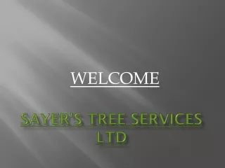 Get the best Tree Cutting Service in Collins End