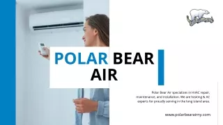 Polar Bear Air