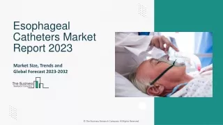 Esophageal Catheters Market Size, Share, Report, Growth Forecast By 2033