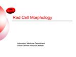 Red Cell Morphology