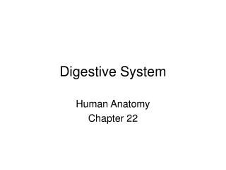 Digestive System