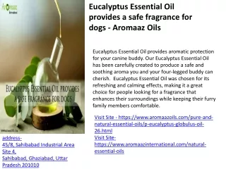 Eucalyptus Essential Oil provides a safe fragrance for dogs - Aromaaz Oils