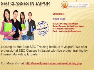 Professional SEO Training Classes in Jaipur