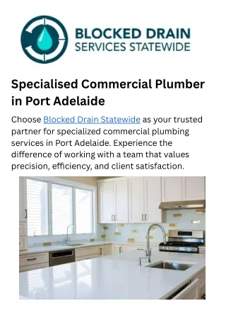 Specialised Commercial Plumber in Port Adelaide (3)