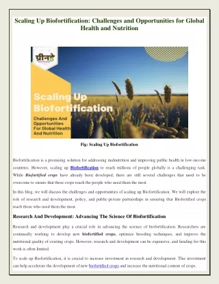 Scaling Up Biofortification