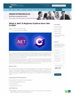 www-systemskills-in-what-is-net-a-beginner-guide-to-learn-net-in-2024- (1)