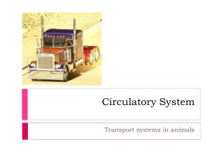 Circulatory System