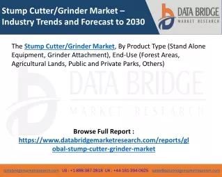 Stump Cutter-Grinder Market