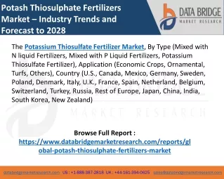 Potash Thiosulphate Fertilizers Market