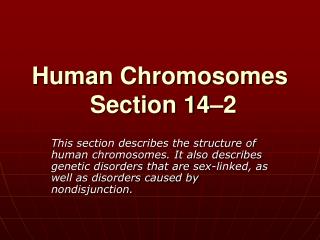 Human Chromosomes Section 14–2