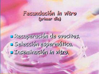 Fecundación in vitro (primer día)