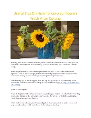 How to keep sunflowers fresh after cutting