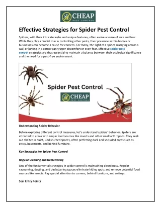 Effective Strategies for Spider Pest Control