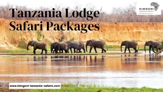 Tanzania Lodge Safari Packages