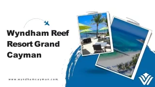 Special Tours in Wyndham Cayman