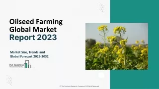 Oilseed Farming Veterinary Market Growth, Size And Forecast To 2033