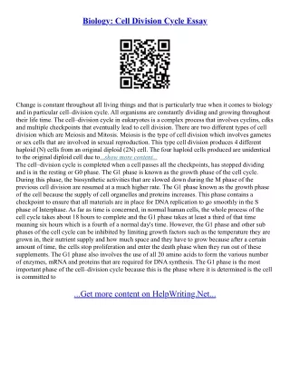 Division Essay Example