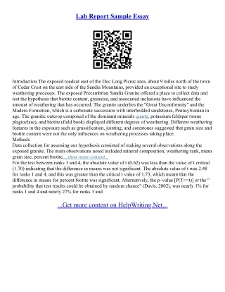 Sample Essay Report