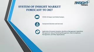 System of Insight Market Future Plans 2027