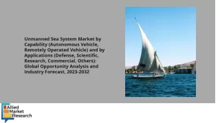 Unmanned Sea System Market PDF