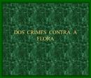 DOS CRIMES CONTRA A FLORA